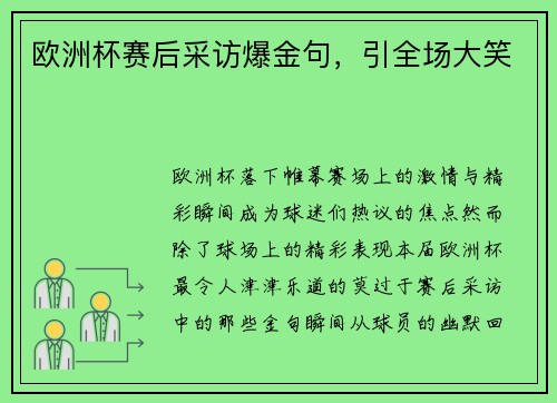 欧洲杯赛后采访爆金句，引全场大笑